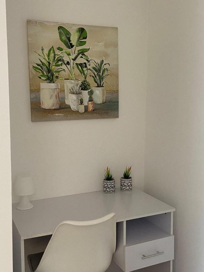 Appartement Dream House Cerenova à Marina di Cerveteri Extérieur photo